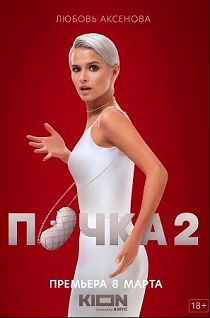 Почка